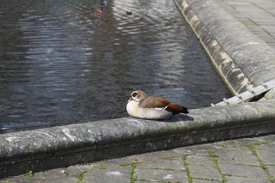 DSC_6897 (Large).JPG